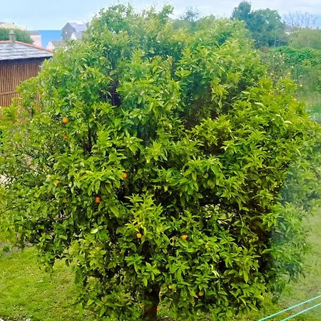 Enburela El Jardín Del Horreo *
